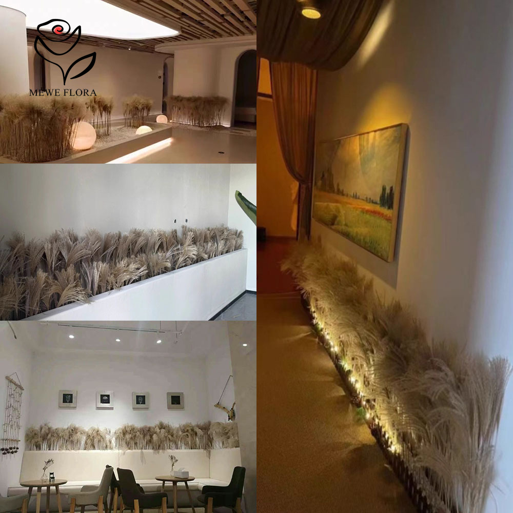 200PCS Natural Dried Fluffy Re - Dried Flower Bulk recension och pris